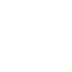 logo_shneider