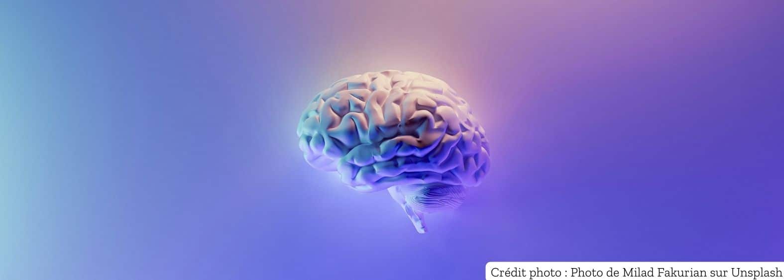 Image de couverture article - Cognitif ! Ou comment reprendre la main sur son cerveau d’apprenant
